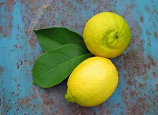 LEMON INFUSED OLIVE OIL, 375ml