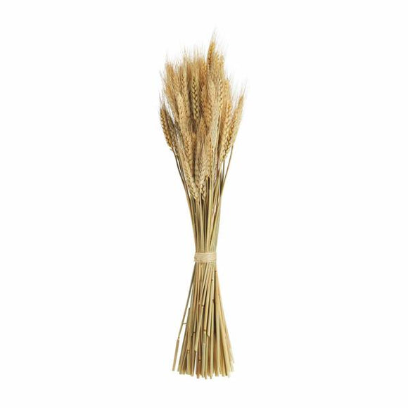 PRESERVED TALL WHEAT BUNDLE