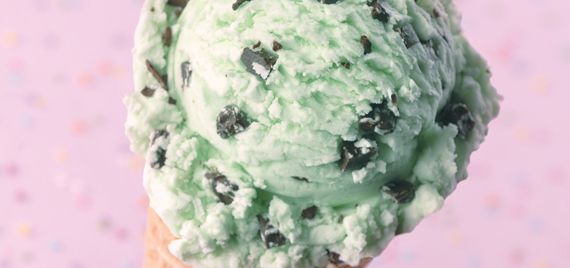 Backyard Entertaining